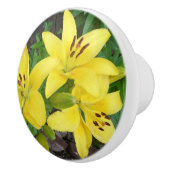 Geel en groen Lily Ceramic Pull Dull Knop (Rechts)