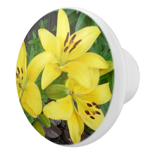 Geel en groen Lily Ceramic Pull Dull Knop (Rechts)