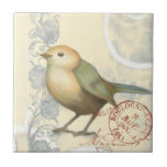 Geel en groen op achtergrond tegeltje<br><div class="desc">Dit op schets geïnspireerde afbeelding is perfect voor je vogelcollectie. Het is eenvoudig en mooi om aan elk product toe te voegen en zal elke kunstliefhebber tevreden stellen. Kies deze illustratie vandaag.</div>