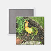 Geel en groen rooster magneet (Voorkant / Achterkant)