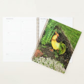 Geel en groen rooster planner (Display)
