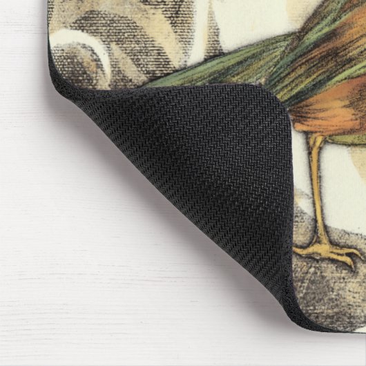 Geel en groen vogel op  achtergrond muismat (Hoek)