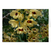 Geel en maroon Orchids Elegant Floral (Voorkant Horizontaal)