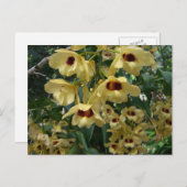 Geel en maroon Orchids Elegant Floral Briefkaart (Voorkant / Achterkant)