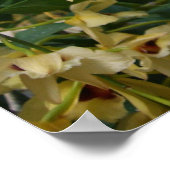 Geel en maroon Orchids Elegant Floral Poster (Hoek)