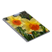 Geel en Oranje Daffodils Floral Notitieboek (Rechterzijde)