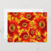 Geel en Oranje Gerbera Daisies Briefkaart (Voorkant / Achterkant)