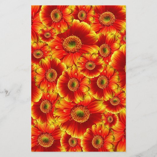 Geel en Oranje Gerbera Daisies Briefpapier (Voorkant)