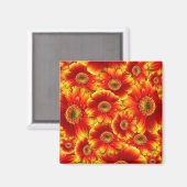 Geel en Oranje Gerbera Daisies Magneet (Voorkant / Achterkant)