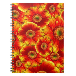 Geel en Oranje Gerbera Daisies Notitieboek