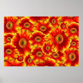 Geel en Oranje Gerbera Daisies Poster (Voorkant)
