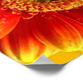 Geel en Oranje Gerbera Daisies Poster (Hoek)