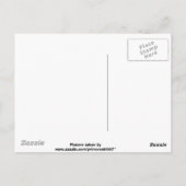 Geel en Oranje Lantana Briefkaart (Achterkant)