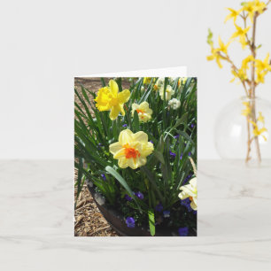 Geel en Oranje narcis Wenskaart Kaart