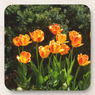 geel en oranje tulpen plastic onderzetter