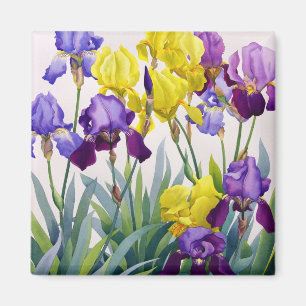 Geel en Paars Irises Magneet