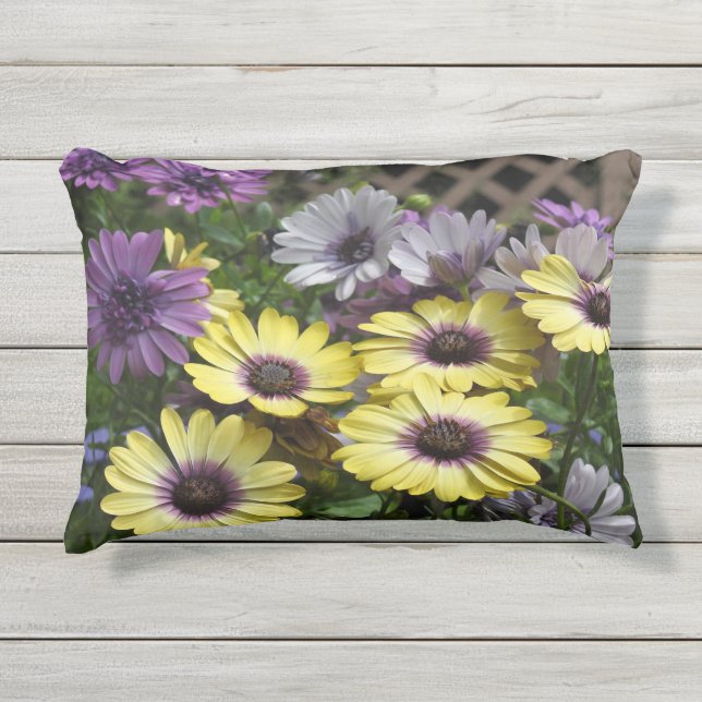 Geel en Paarse African Daisies Outdoor Pillow Buitenkussen (Voorkant)