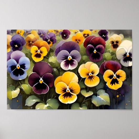 Geel en paarse pansies waterverf schilderij poster (Voorkant)