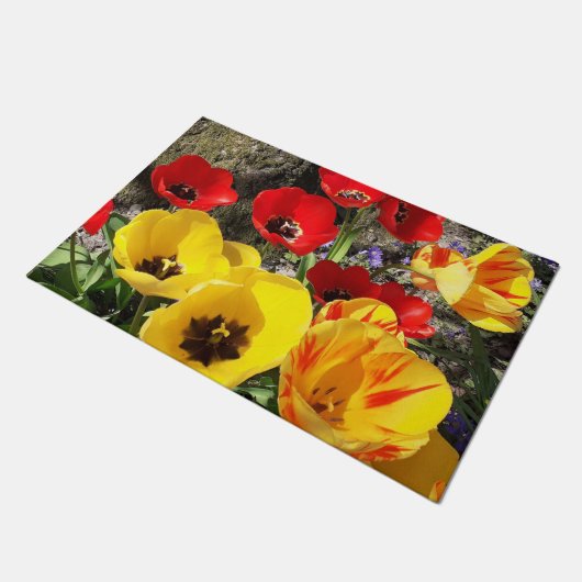 Geel en rood deurmat (Schuin)