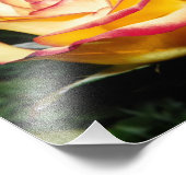 Geel en rood foto afdruk (Hoek)