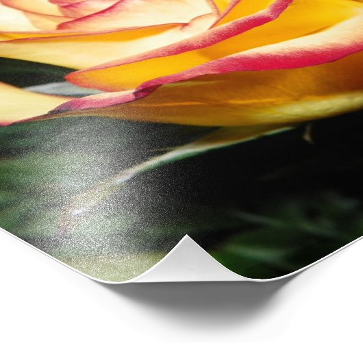 Geel en rood foto afdruk (Hoek)