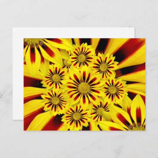 Geel en rood gestreept Gerbera Daisy Sunflower Briefkaart (Voorkant / Achterkant)