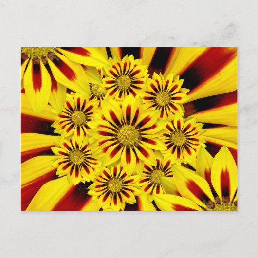 Geel en rood gestreept Gerbera Daisy Sunflower Briefkaart (Voorkant)