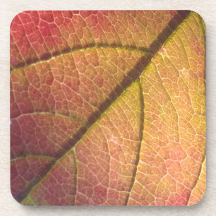 Geel en rood Herfst blad Bier Onderzetter