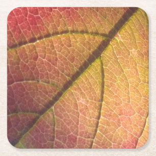 Geel en rood Herfst blad Kartonnen Onderzetters