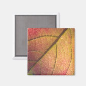 Geel en rood Herfst blad Magneet (Voorkant / Achterkant)