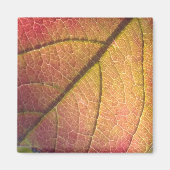 Geel en rood Herfst blad Magneet (Voorkant)