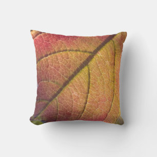 Geel en rood Herfst blad Sierkussen
