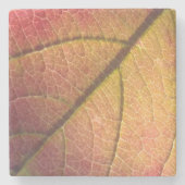 Geel en rood Herfst blad Stenen Onderzetter (Voorkant)