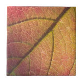 Geel en rood Herfst blad Tegeltje (Voorkant)