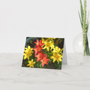 Geel en rood Lily Flower Photo Design Greet Kaart
