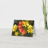 Geel en rood Lily Flower Photo Design Greet Kaart (Voorkant)