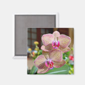 geel en rood orchideeën briefkaart metaal siqu magneet (Voorkant / Achterkant)