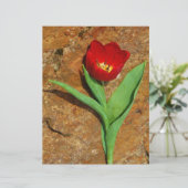 Geel en rood Tulip (Staand voorkant)