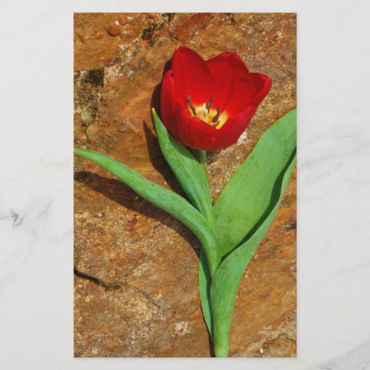 Geel en rood Tulip Briefpapier (Voorkant)