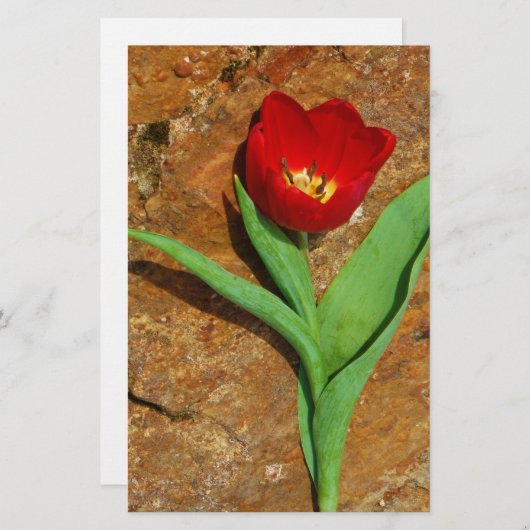 Geel en rood Tulip Briefpapier (Voorkant / Achterkant)