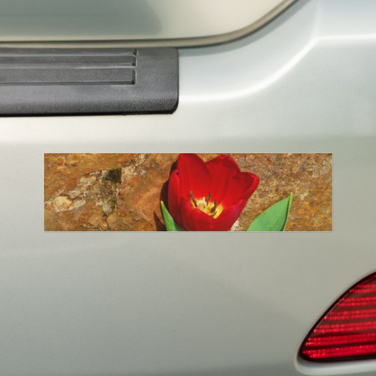 Geel en rood Tulip Bumpersticker (Op auto)