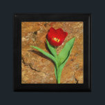 Geel en rood Tulip Cadeaudoosje<br><div class="desc">Spring Red Tulip, tegen een bruine rots in het Arrowidenmeer. Foto van Sandy Closs. Pasen, bloemen, rode bloemen, Lente, valentijn, valentijnen, bruiloft, bruiloften, Valentijns</div>