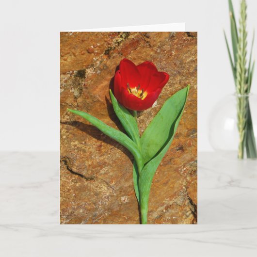 Geel en rood Tulip Feestdagen Kaart (Voorkant)