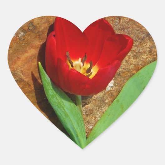 Geel en rood Tulip Hart Sticker (Voorkant)