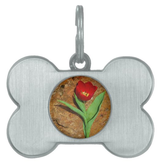 Geel en rood Tulip Huisdieren Naamplaatje (voorkant)