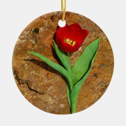 Geel en rood Tulip Keramisch Ornament (Voorkant)
