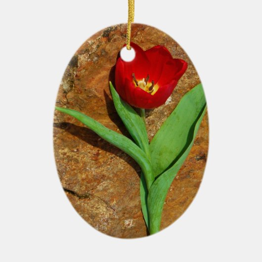 Geel en rood Tulip Keramisch Ornament (Voorkant)