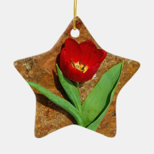 Geel en rood Tulip Keramisch Ornament (Voorkant)