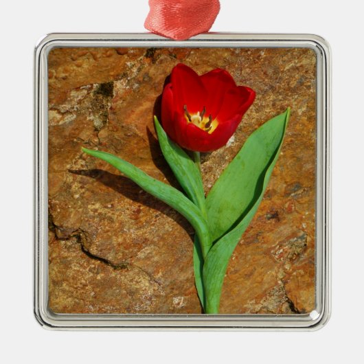 Geel en rood Tulip Metalen Ornament (Voorkant)