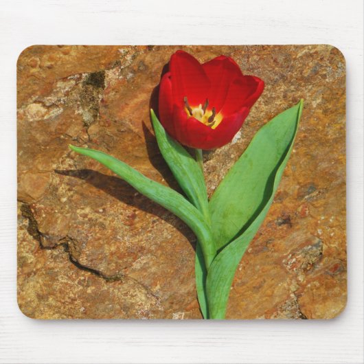 Geel en rood Tulip Muismat (Voorkant)